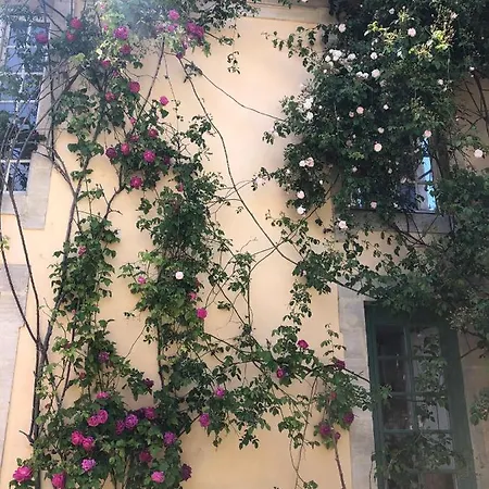 Maison d'hôtes De Charme 4*