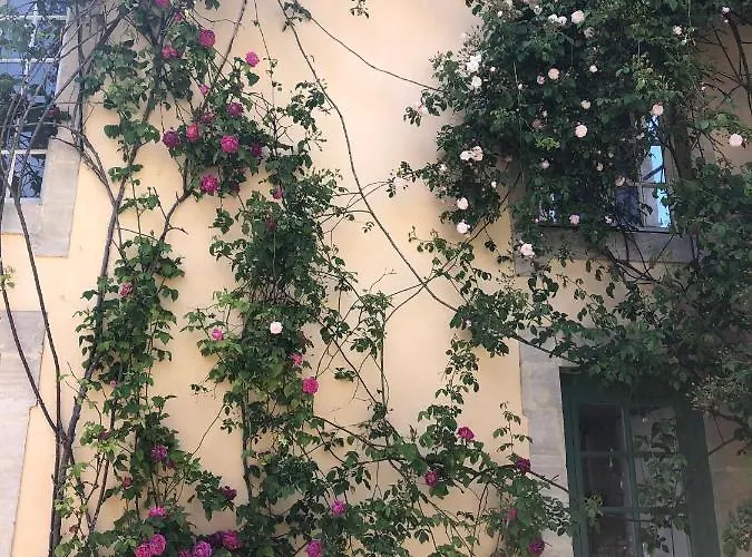 Guest house De Charme 4*